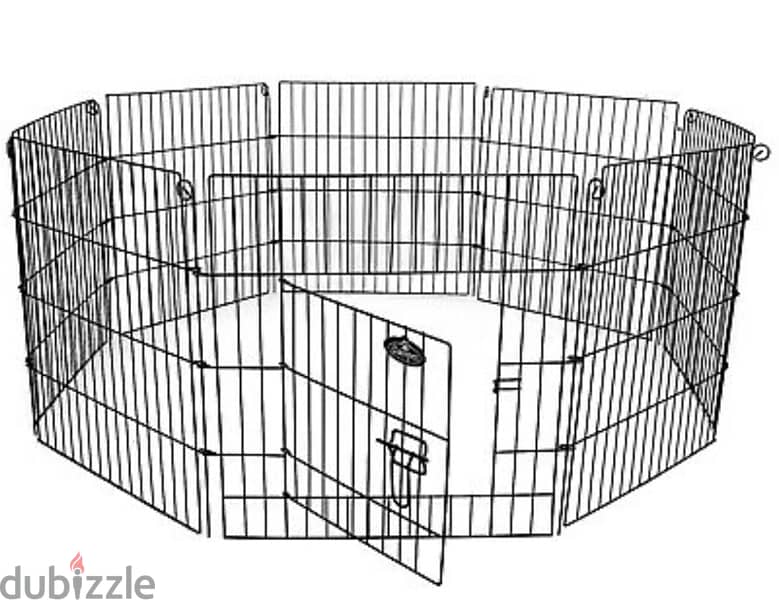 Pomeranian spitz + 2 cage 2