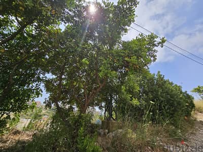 RWB281MT - Land for sale in Blat Jbeil