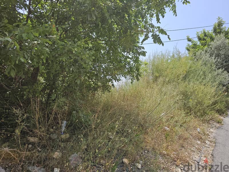 RWB281MT - Land for sale in Blat Jbeil 4