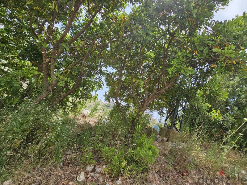 RWB281MT - Land for sale in Blat Jbeil 6