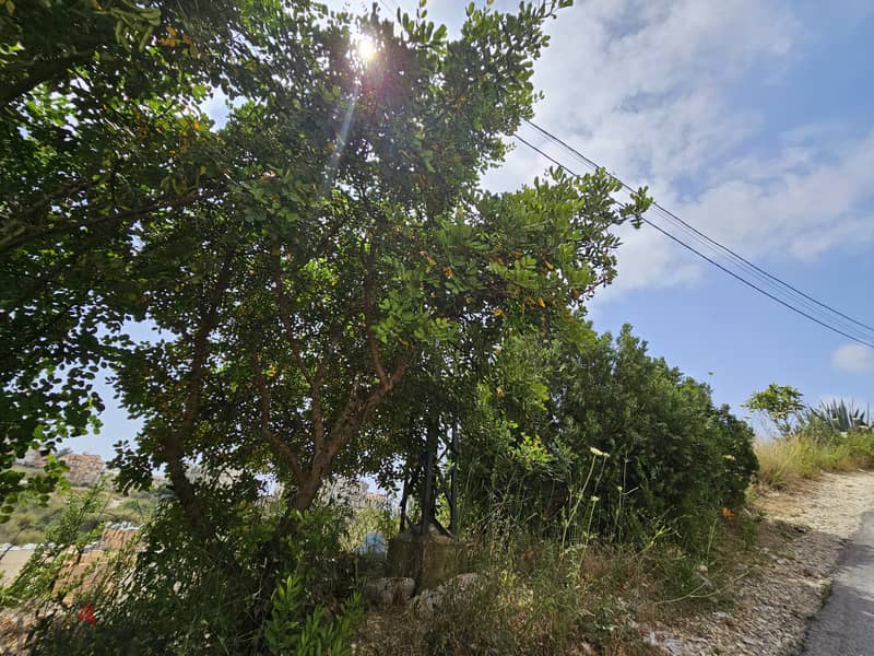 RWB281MT - Land for sale in Blat Jbeil 7