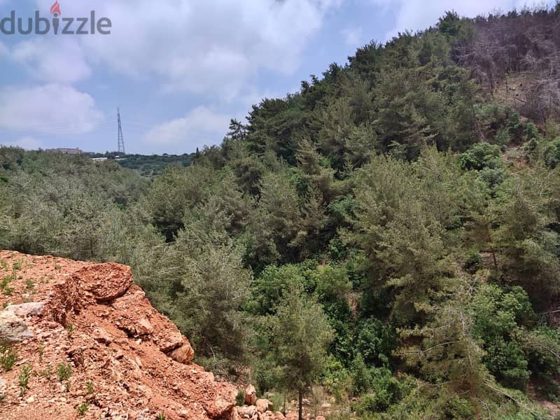 7778 Sqm | Land For Sale In Debbieh | Panoramic Mountain View 2