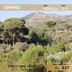 Land for sale in Ighmid - Aley IZ15 أرض للبيع في إغميد - عاليه