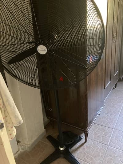 fan