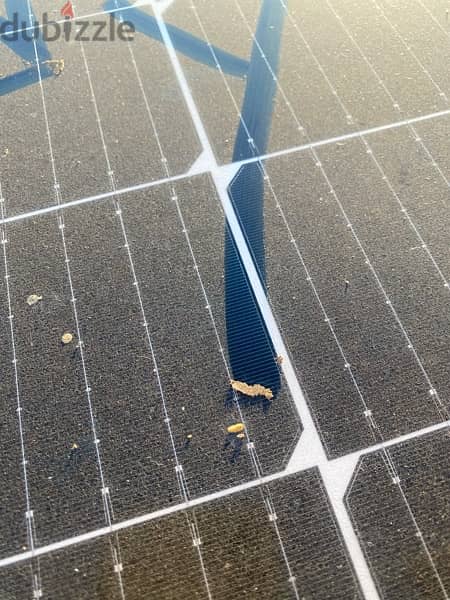 solar panel cleaning service تنظيف الواح طاقة 11