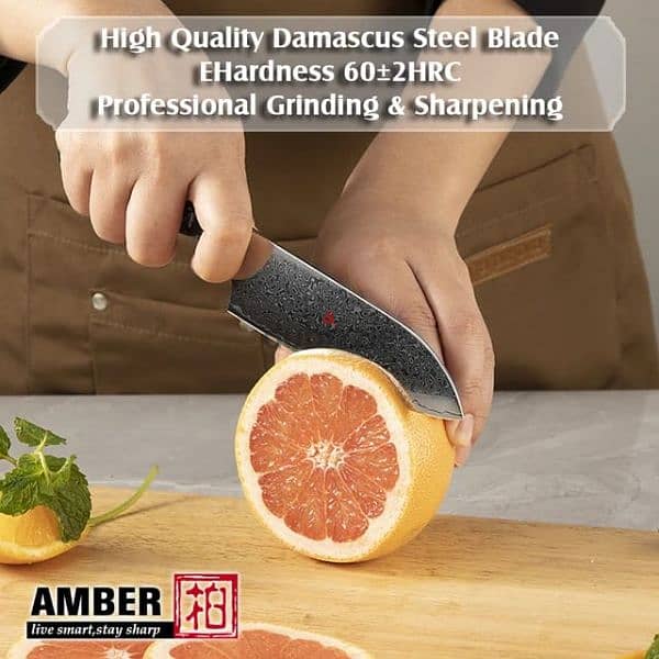 professional demascus steel chefs knife 1