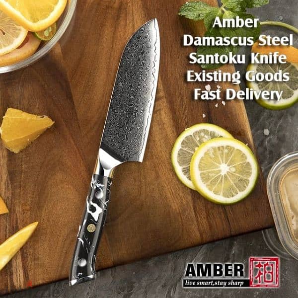 professional demascus steel chefs knife 2