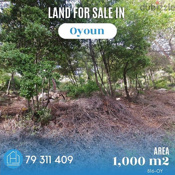 Land for SALE in Oyoun Area 1,000 Sqm with building 0