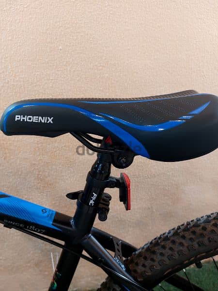 phoenix warrior bicycle 2