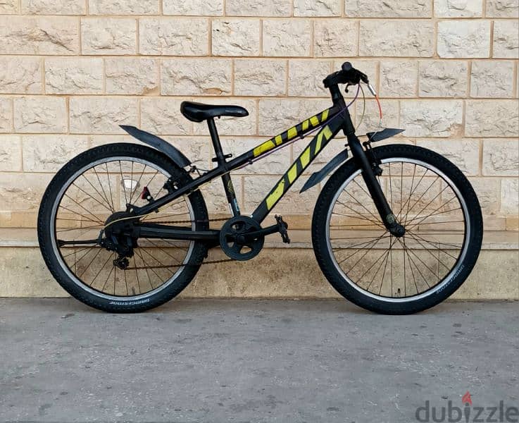 CLEAN BRIDGESTONE BIKE 24" 0