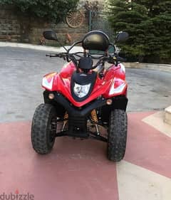 Magnum 100cc atv