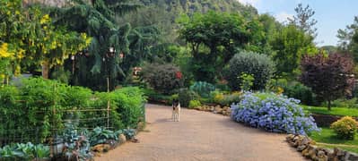 Paradise garden Villa For Sale in Jouret el Ballout!
