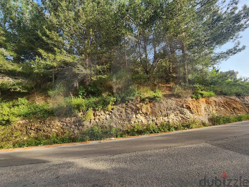 1460sqm land in Naher ibrahim Maaysra/نهر إبراهيم معيصرة REF#BT108776 1