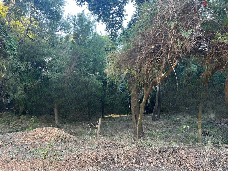Land for Sale in Beit Mery 1