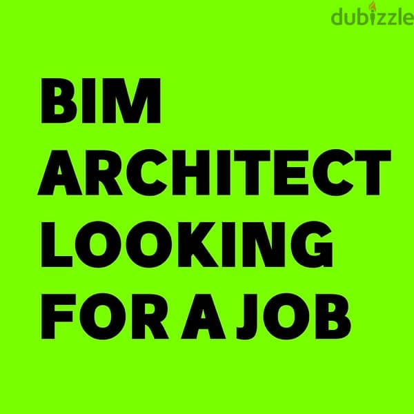 BIM Architect Looking for Job 0