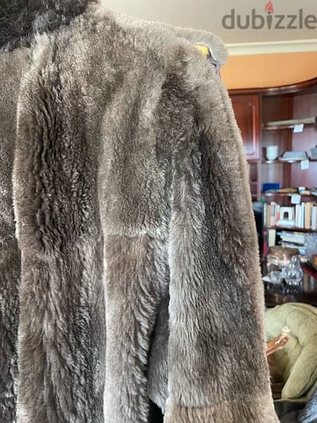 Fur coat 1