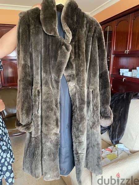 Fur coat 2