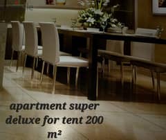 apartment super deluxe full furniture