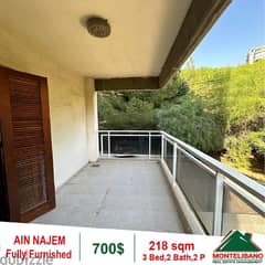 700$!! Fuly Furnished Apartment for rent in Ain Najem 0