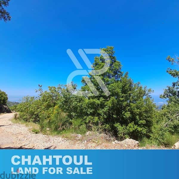 Land for sale in chahtoul - أرض للبيع في شحتول 1