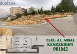 Land for sale in Kfardebian ارض للبيع في كفرذبيان