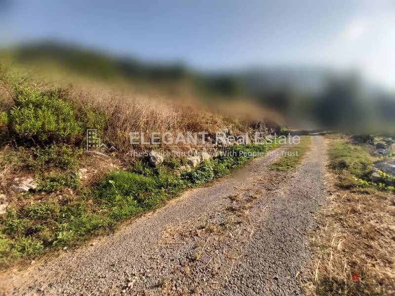 Awesome Land for Sale | Old House | Zebdine-Jbeil 1