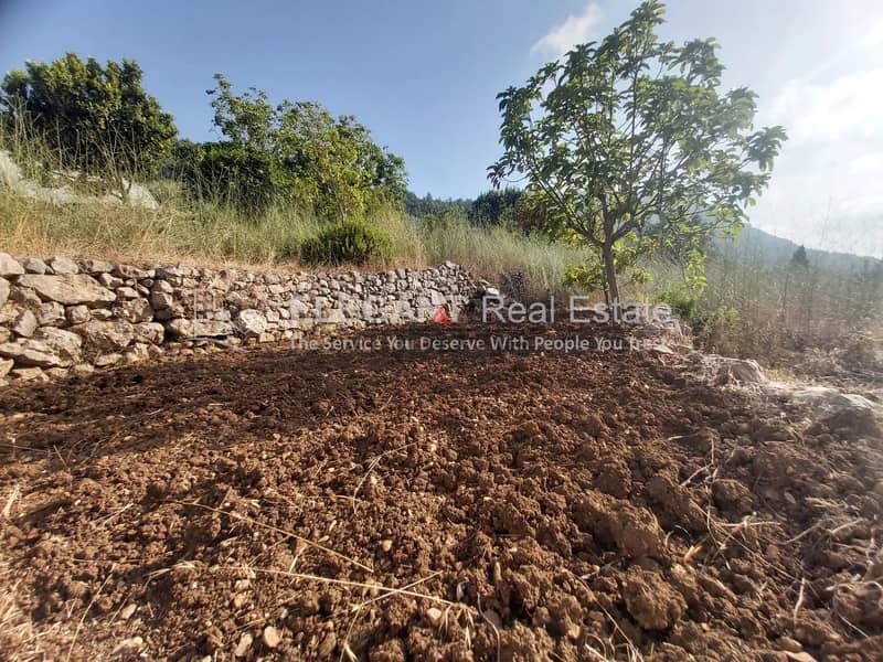 Awesome Land for Sale | Old House | Zebdine-Jbeil 12