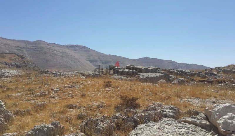 land for sale in qanat bakich 177k. أرض للبيع في قناة باكيش ١٧٧،٠٠٠$ 1