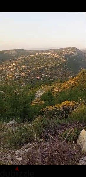 land for sale in tartej jbeil 40$/m. أرض للبيع في ترتج جبيل ٤٠$/م 1