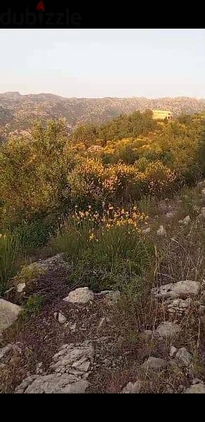 land for sale in tartej jbeil 40$/m. أرض للبيع في ترتج جبيل ٤٠$/م 2