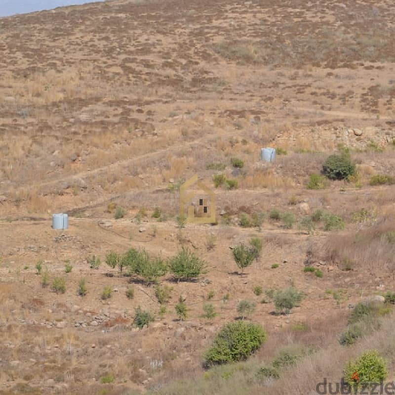 Land for sale in Bireh Akkar PD12 1