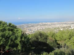 Catchy Price: Prime Land with Sea View for Sale in Ain Anoub 0