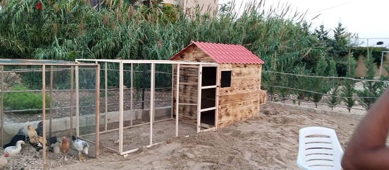 Latest Chicken Cages احدث بيوت الدجاج 11