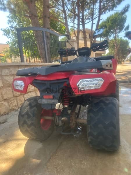 atv 250cc 1