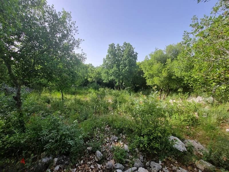 land for sale  ارض للبيع مع رخصه عمار 4