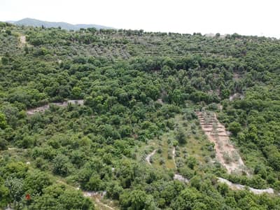 Land For Sale In Bejjeh | 3355SQM Land | أرض للبيع | PLS 26066