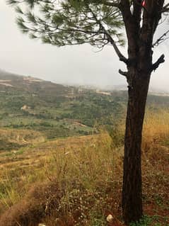 13509 Sqm | Land For Sale In Berty , Jezzine |Panoramic Mountain View 0