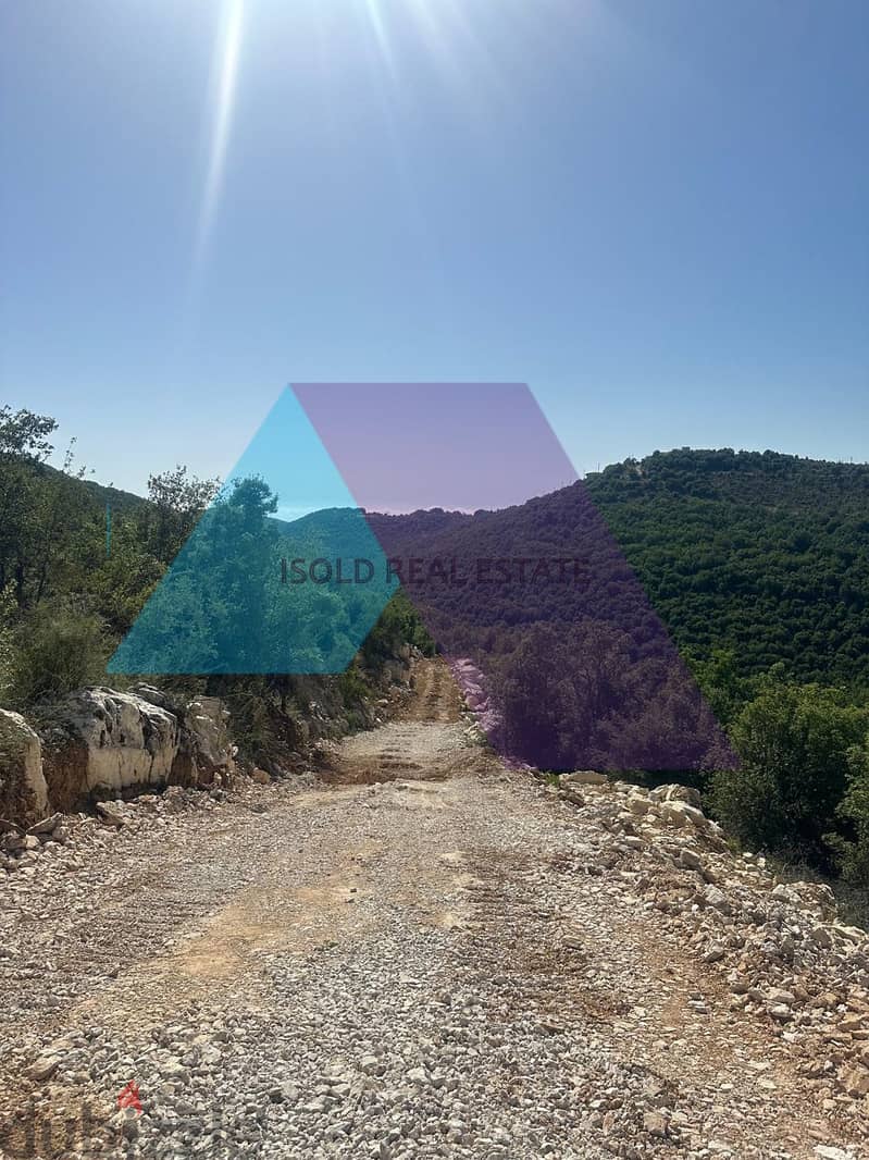 6513 m2 land+ open view for sale in Mechmech - أرض للبيع في مشمش جبيل 1