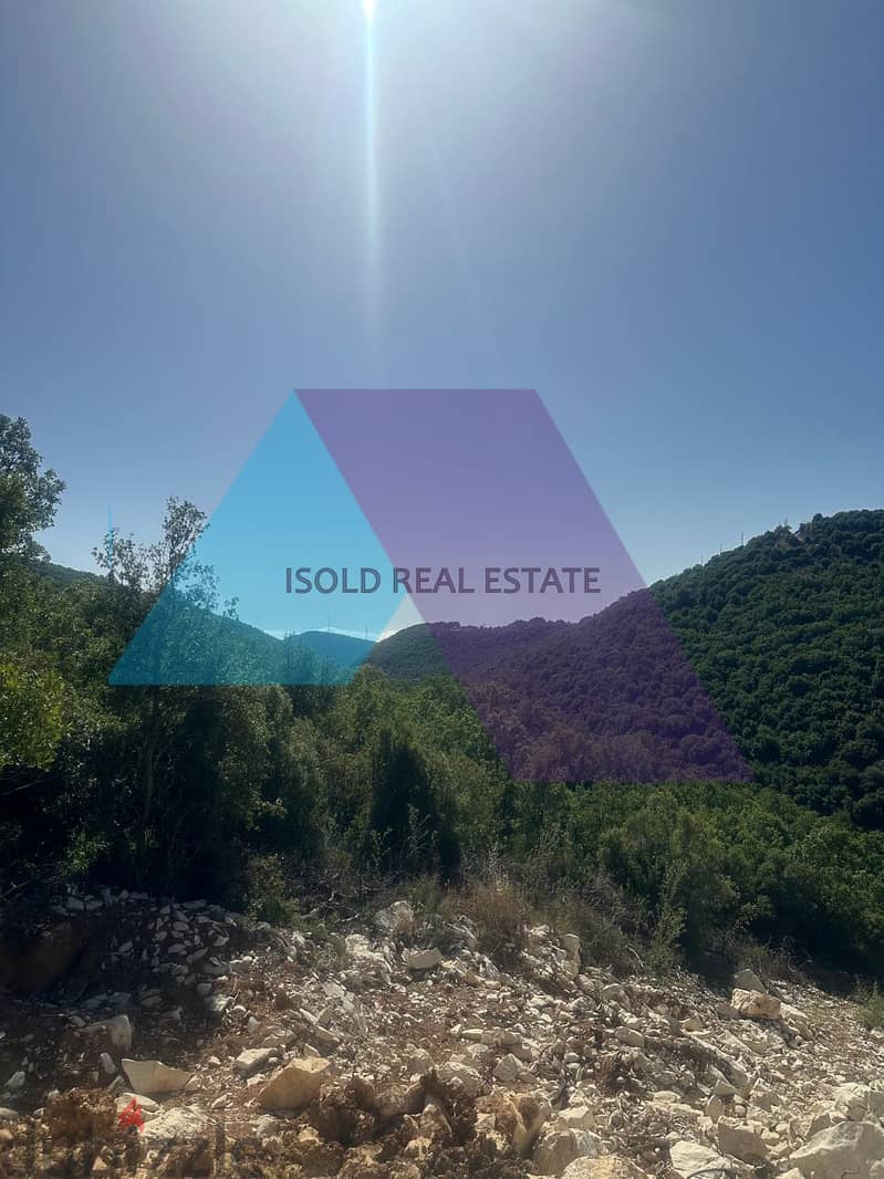 6513 m2 land+ open view for sale in Mechmech - أرض للبيع في مشمش جبيل 2