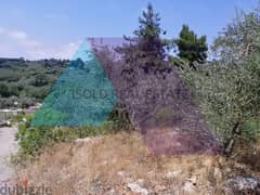 A 1200 m2 Land having an open mountain view for sale in Dibbiye 0