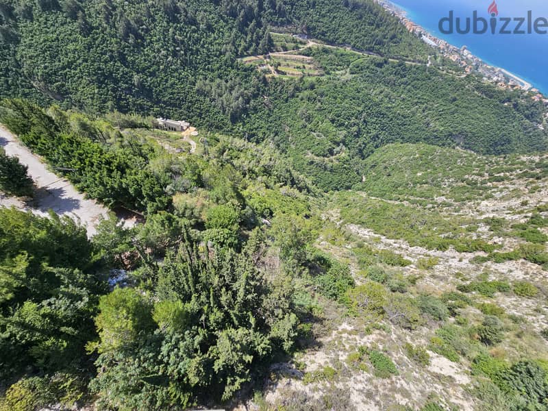 RWB324MT -  5 LANDS For sale in Blat Jbeil 1