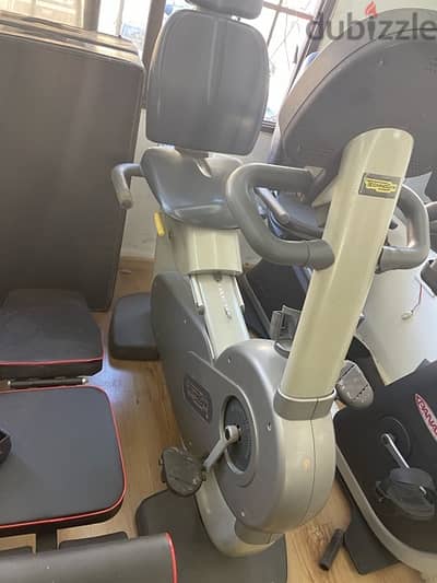 lazy byke technogym like new