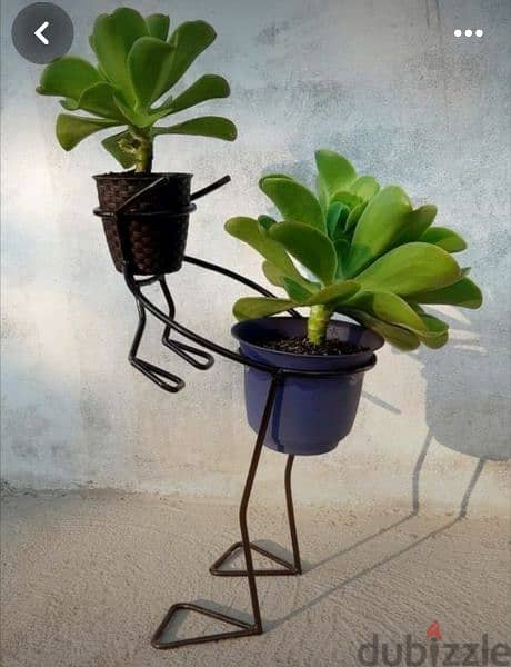 plant,key,light-bulb,holder 2