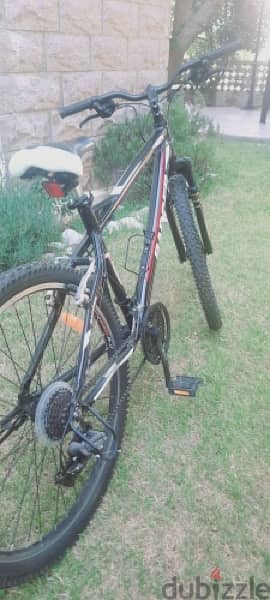 badger bicycle best condition 2