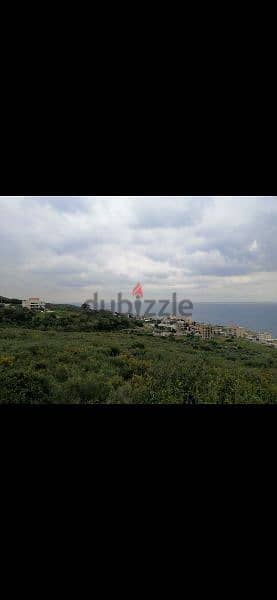 land for sale in monsef jbeil. ارض للبيع في المنصف جبيل٣٠٠$/م 2