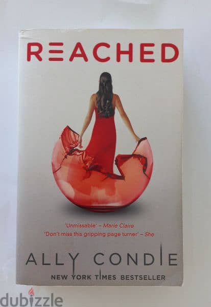 Ally Condle Best-Selling Novels:Reached 3