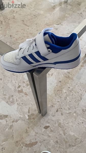 Adidas shoes 1