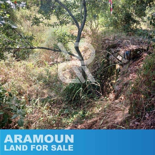 Land for sale in Aramoun - أرض للبيع في عرمون 2