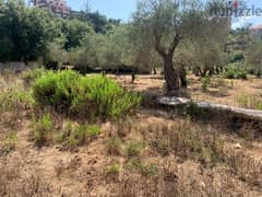 ارض للبيع في المغيرية  الشوف land for sale in mghyri shouf 0