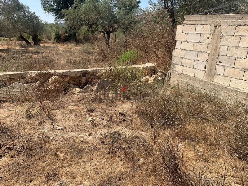 ارض للبيع في المغيرية  الشوف land for sale in mghyri shouf 14